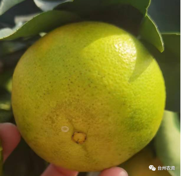 1675666602103745.png 640 (53).png