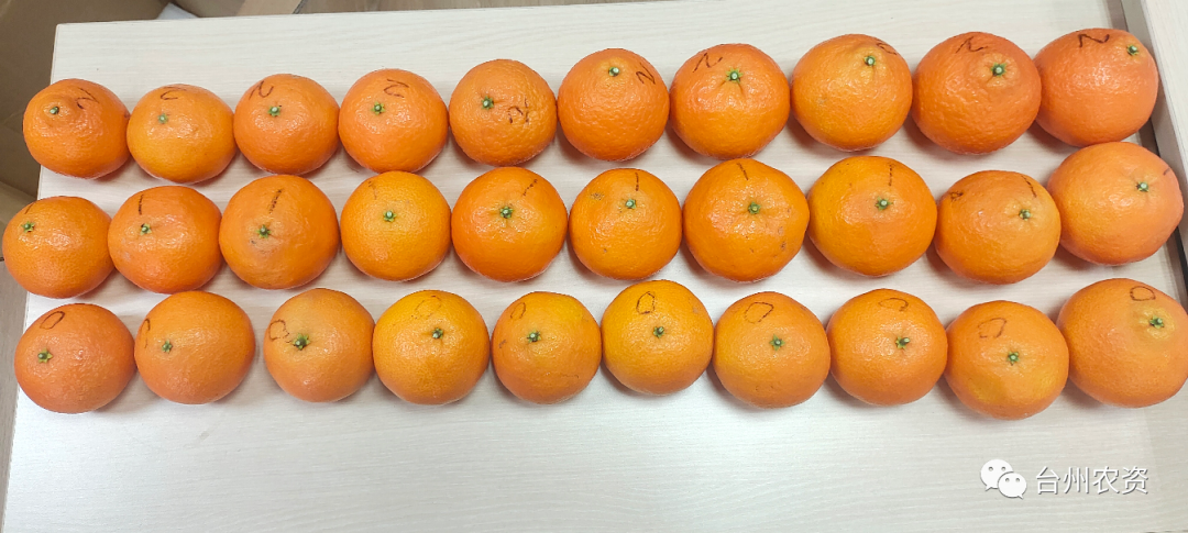 1675666683380874.png 640 (58).png